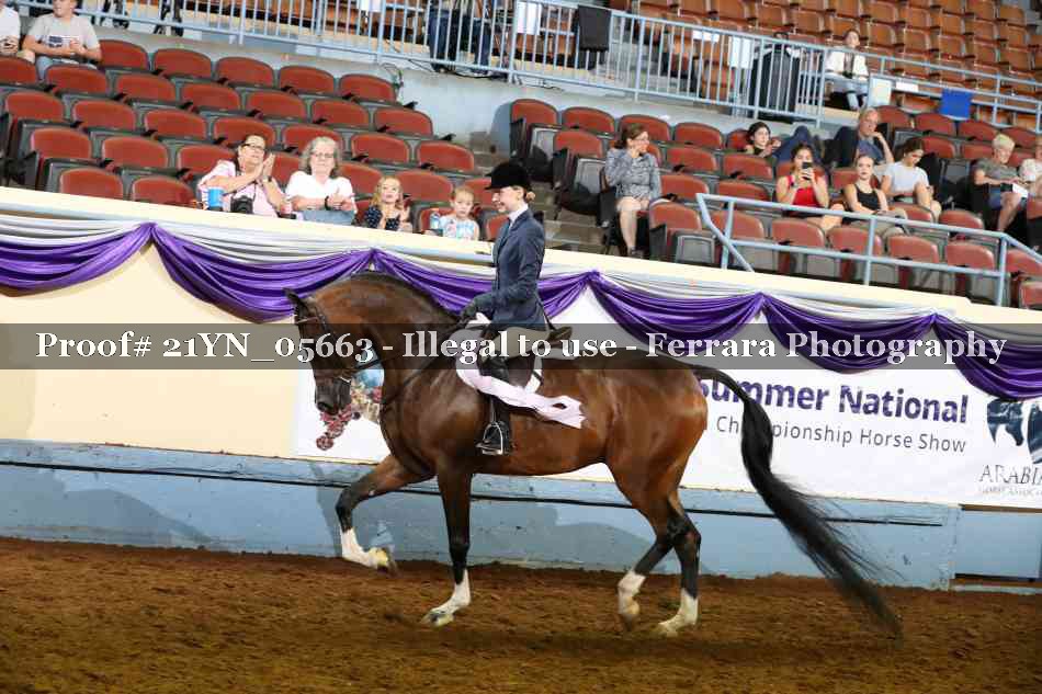 Proof Number 21YN_05663