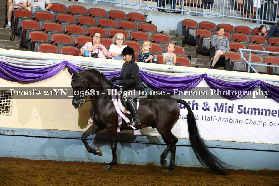 Proof Number 21YN_05681