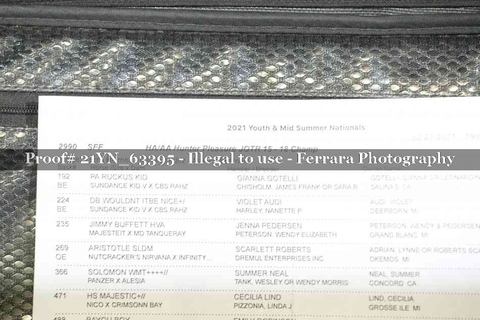 Proof Number 21YN_63395