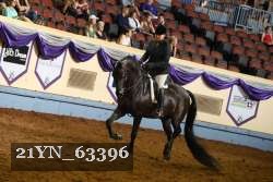 21YN_63396 thumbnail