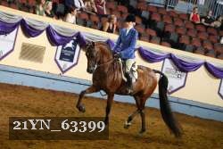 21YN_63399 thumbnail