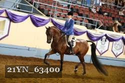 21YN_63400 thumbnail