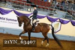 21YN_63407 thumbnail