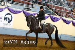 21YN_63409 thumbnail