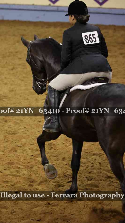 Proof Number 21YN_63410