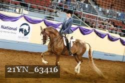 21YN_63416 thumbnail