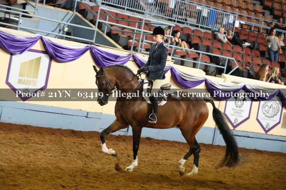 Proof Number 21YN_63419
