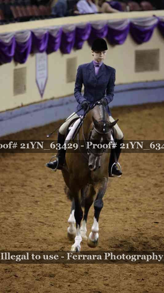 Proof Number 21YN_63429