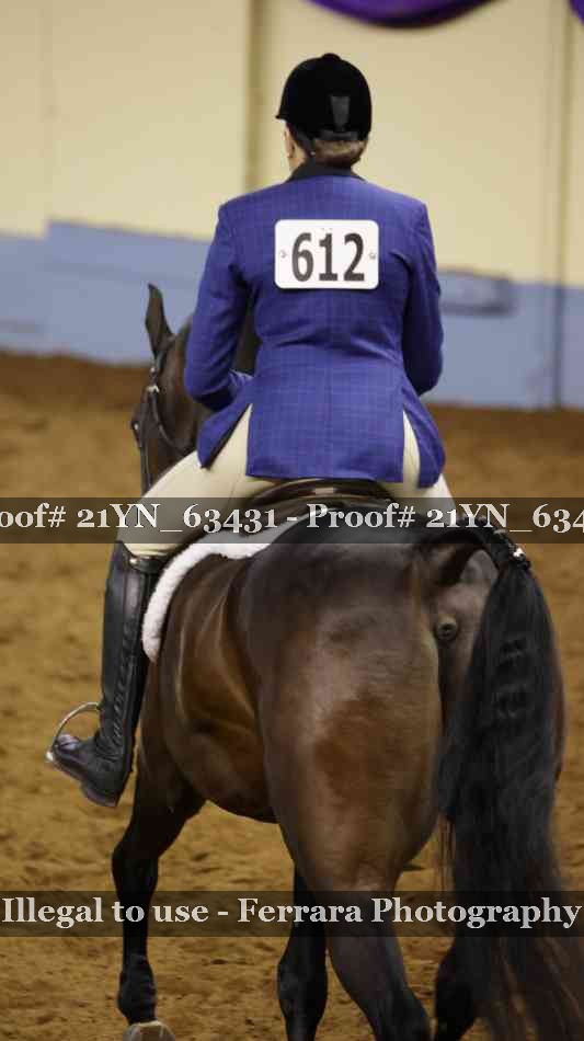 Proof Number 21YN_63431