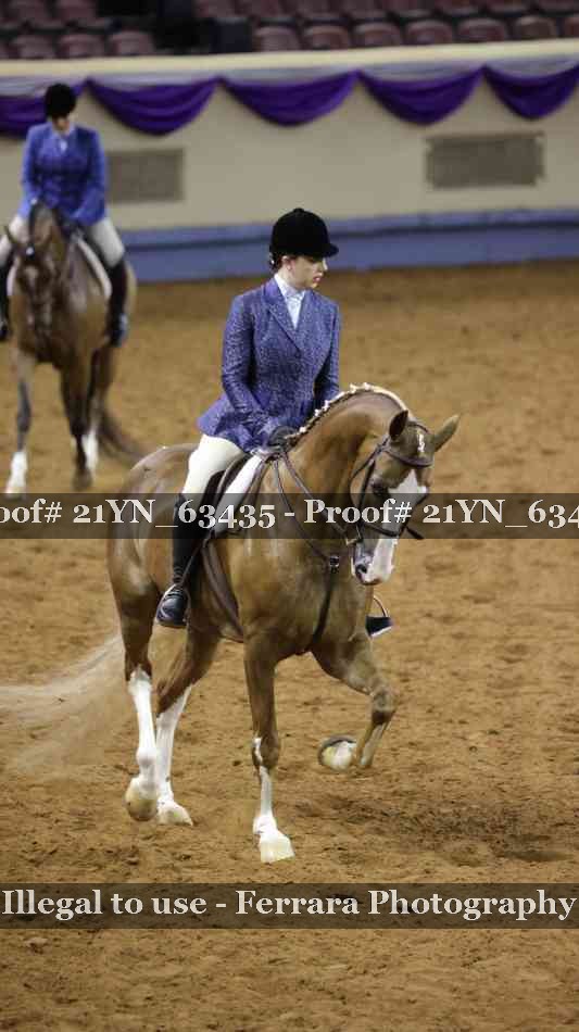 Proof Number 21YN_63435