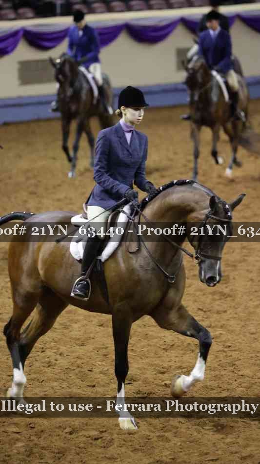 Proof Number 21YN_63440