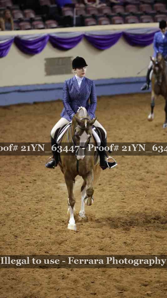 Proof Number 21YN_63447