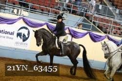 21YN_63455 thumbnail