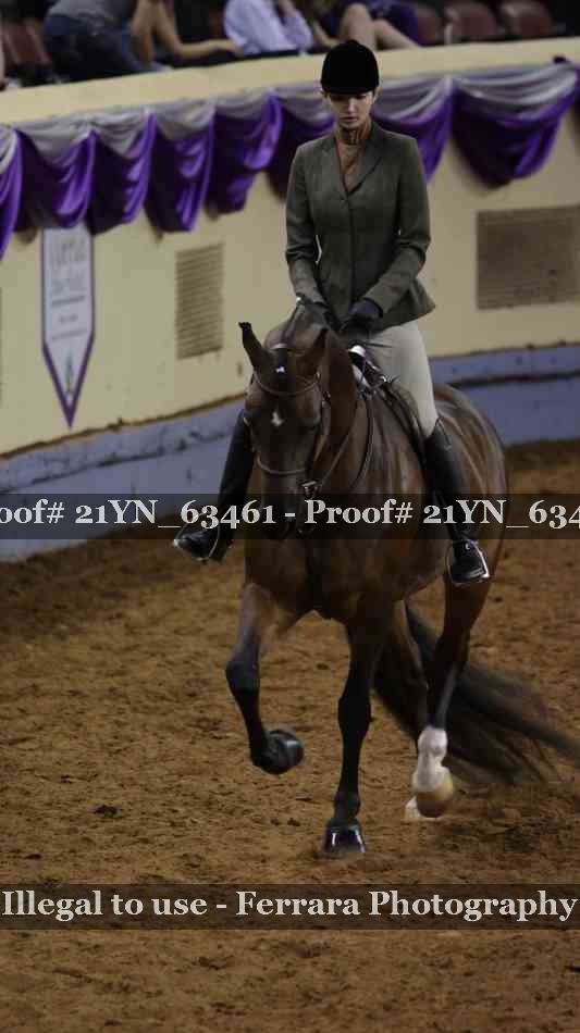 Proof Number 21YN_63461