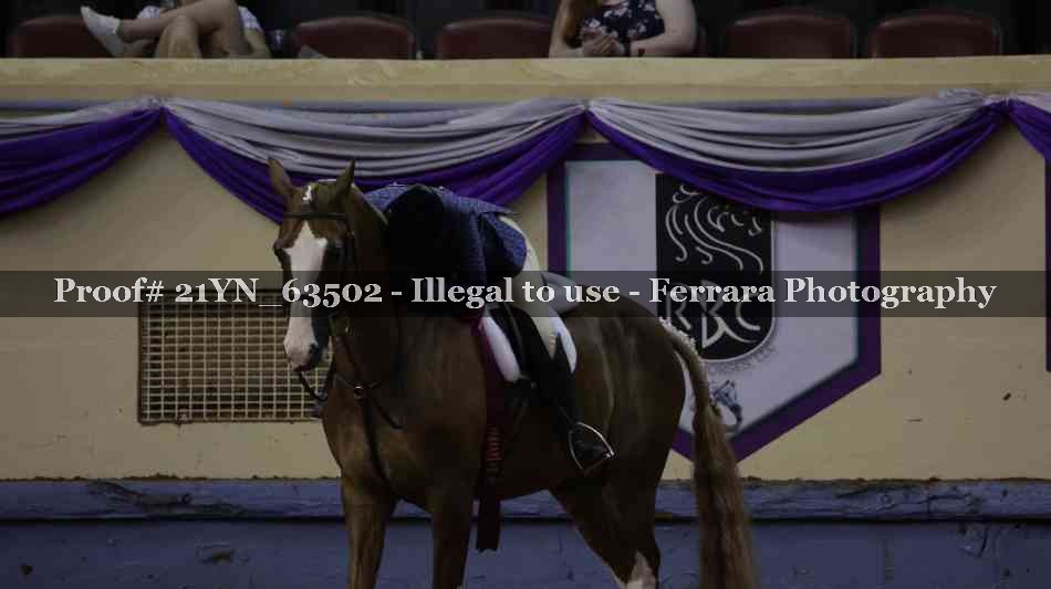 Proof Number 21YN_63502