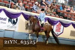 21YN_63525 thumbnail