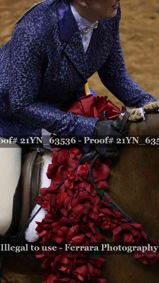 Proof Number 21YN_63536