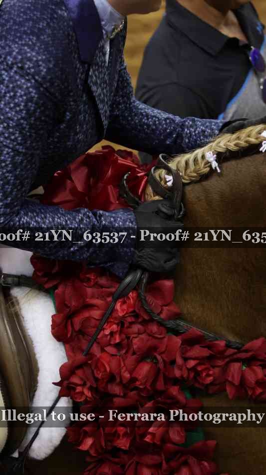 Proof Number 21YN_63537