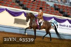 21YN_63539 thumbnail