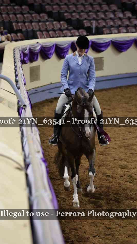 Proof Number 21YN_63541