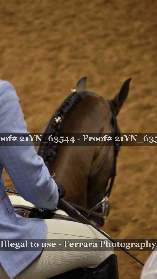 Proof Number 21YN_63544