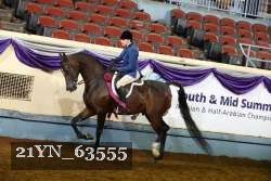 21YN_63555 thumbnail