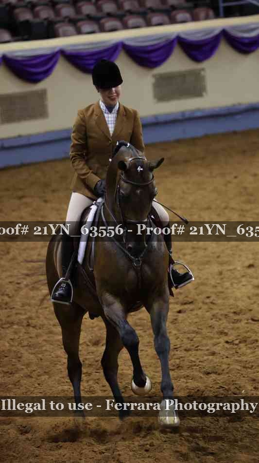 Proof Number 21YN_63556