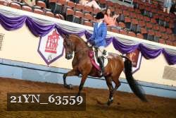 21YN_63559 thumbnail