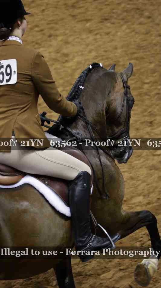 Proof Number 21YN_63562