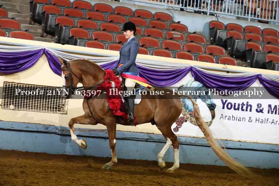 Proof Number 21YN_63597