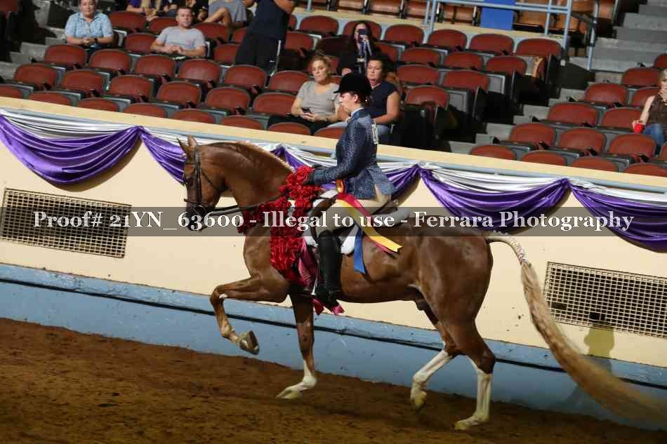 Proof Number 21YN_63600