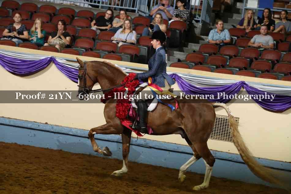 Proof Number 21YN_63601