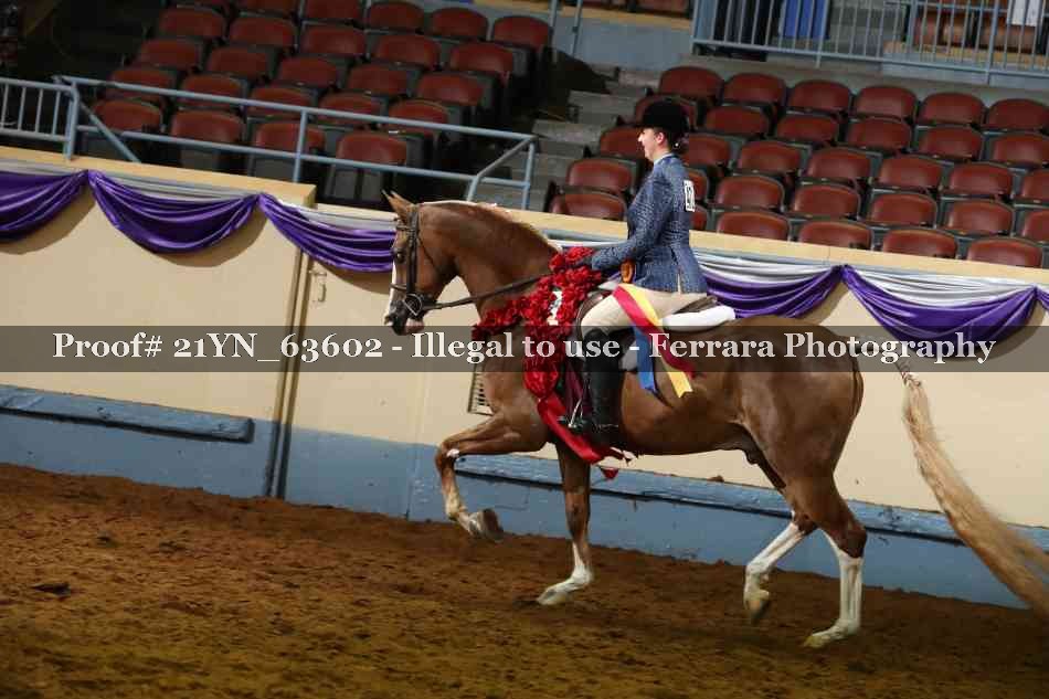 Proof Number 21YN_63602