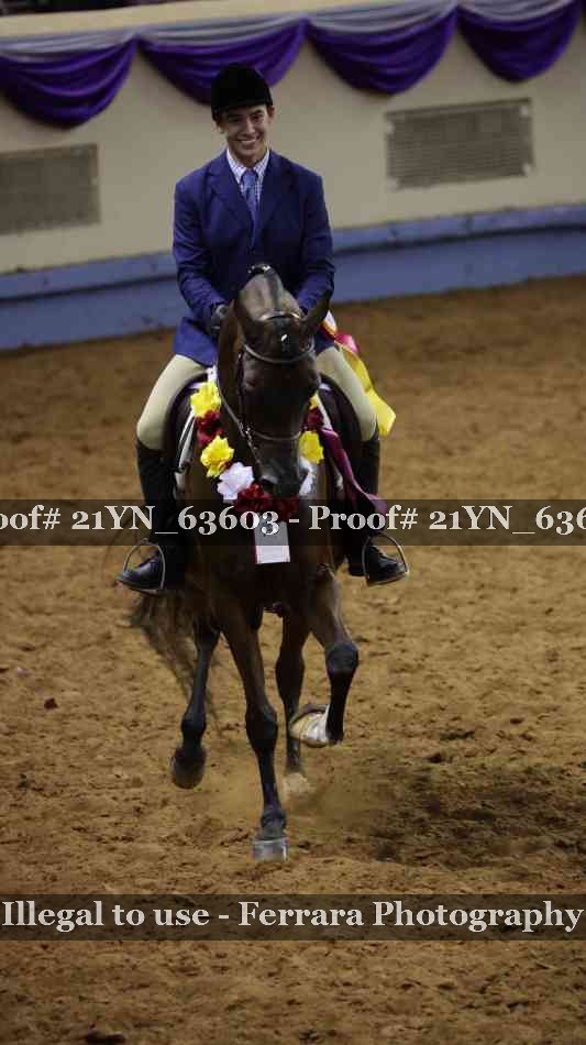 Proof Number 21YN_63603