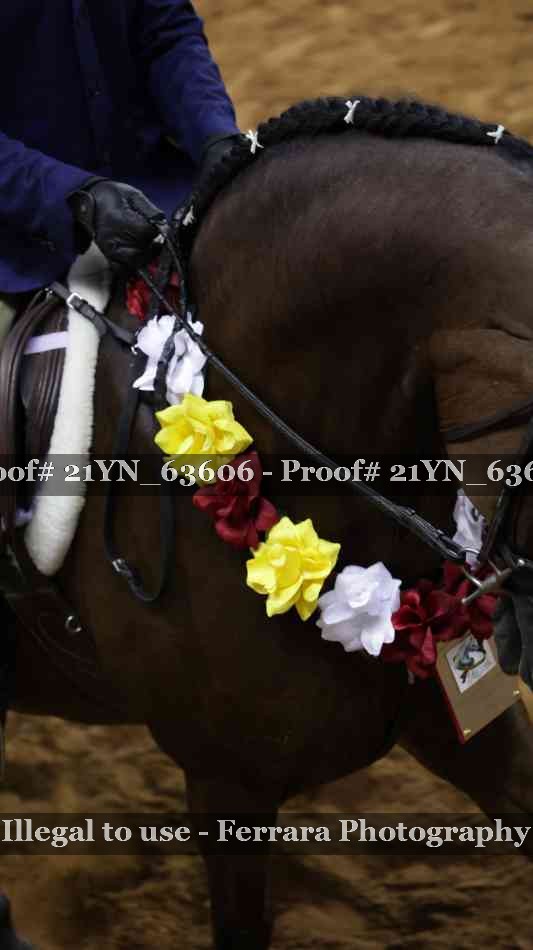 Proof Number 21YN_63606