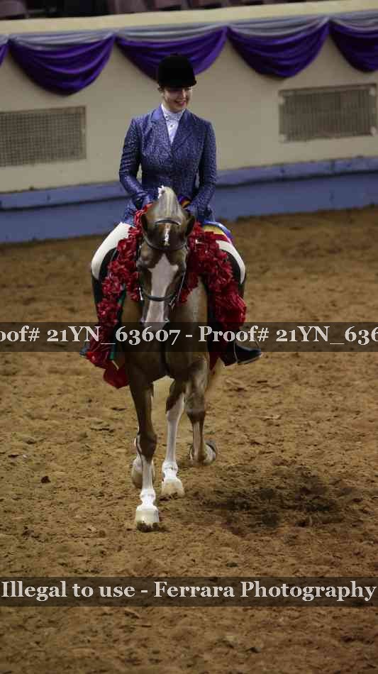 Proof Number 21YN_63607