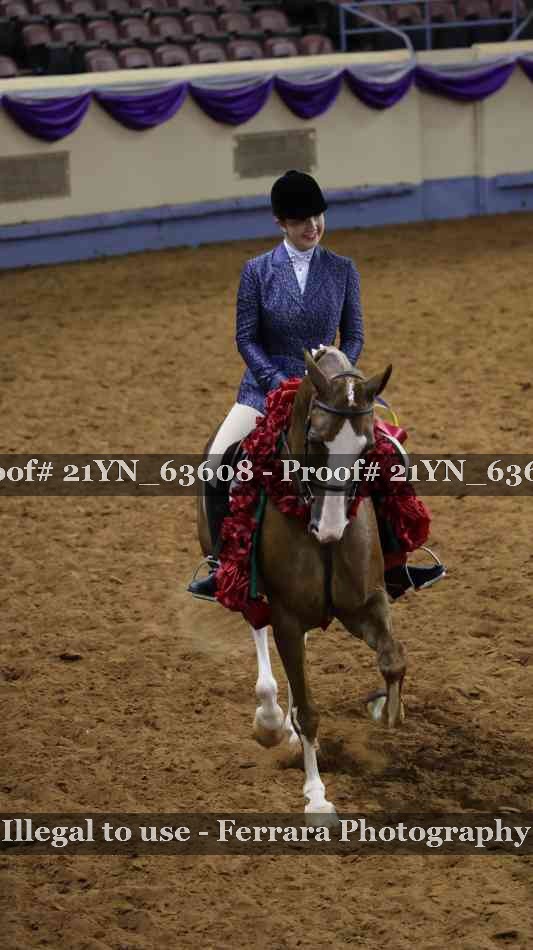 Proof Number 21YN_63608