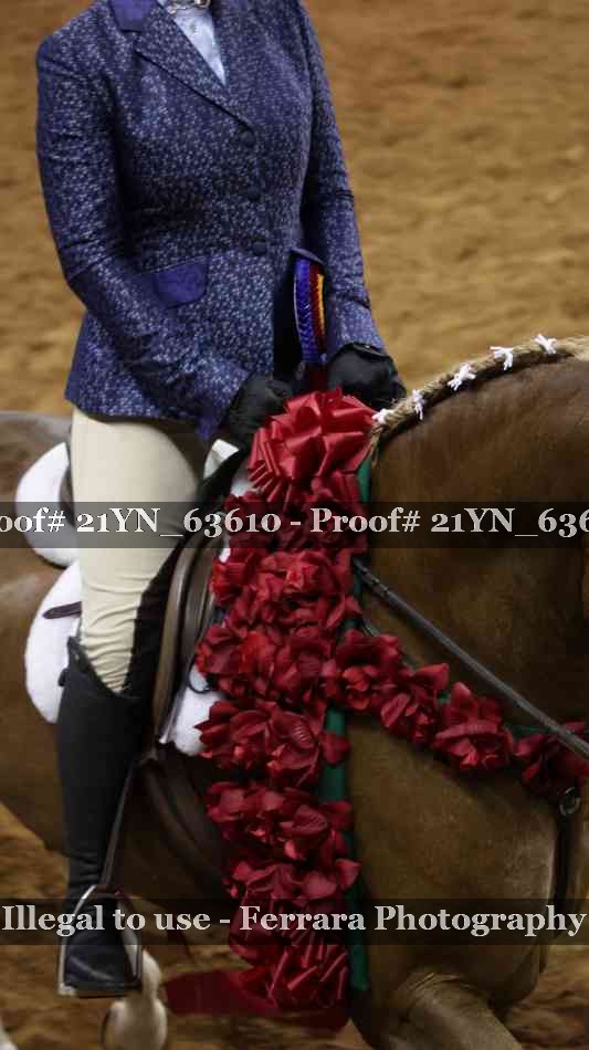 Proof Number 21YN_63610