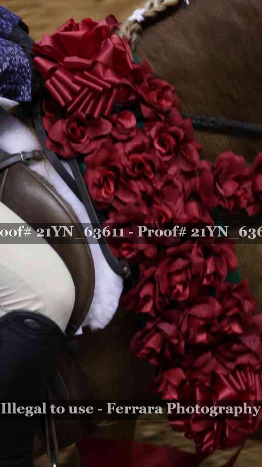 Proof Number 21YN_63611