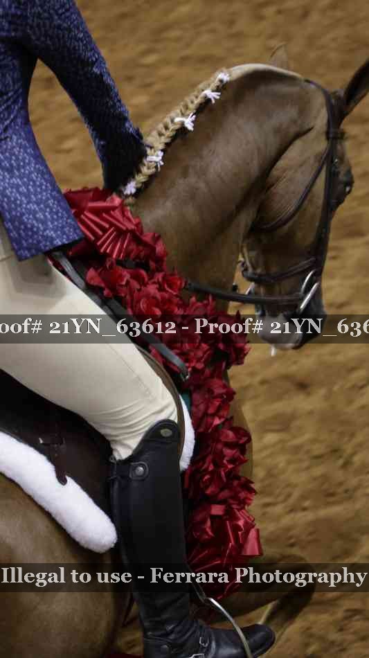 Proof Number 21YN_63612