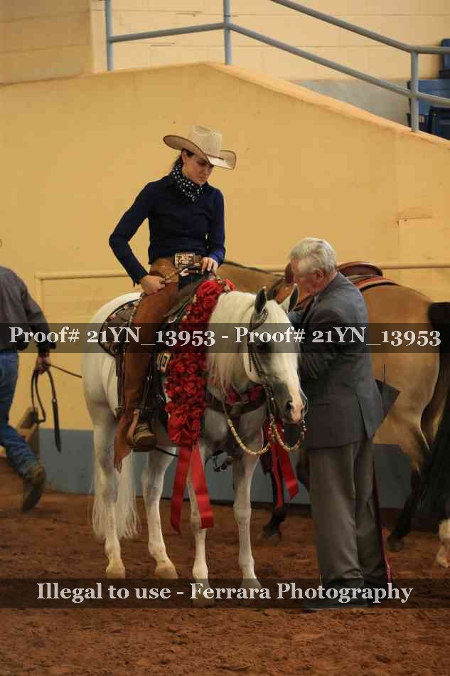 Proof Number 21YN_13953