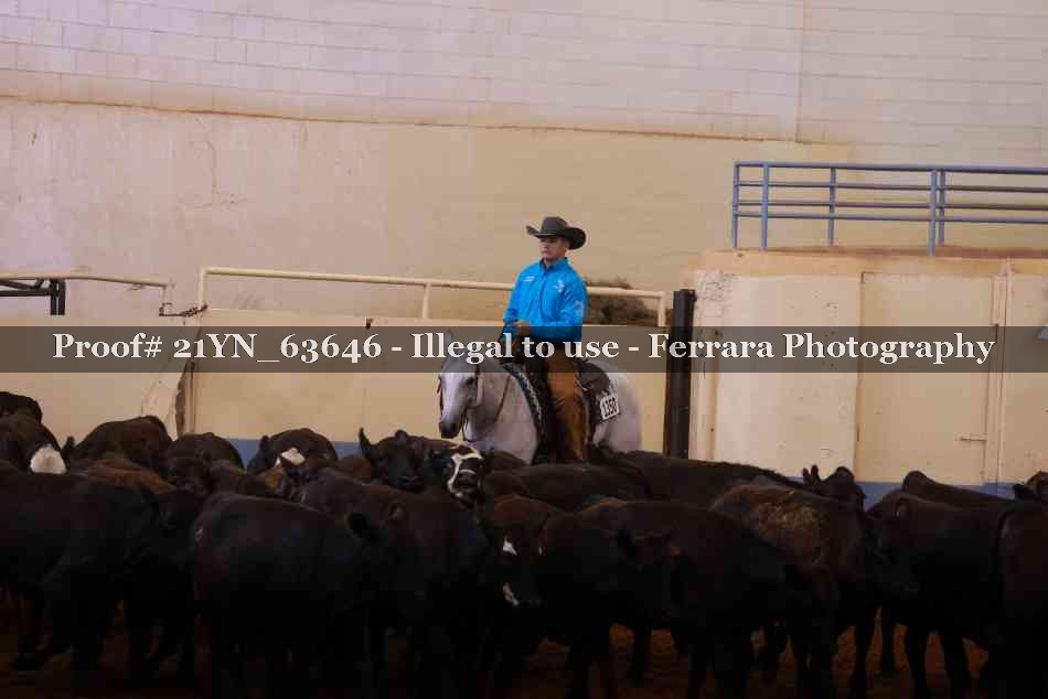 Proof Number 21YN_63646