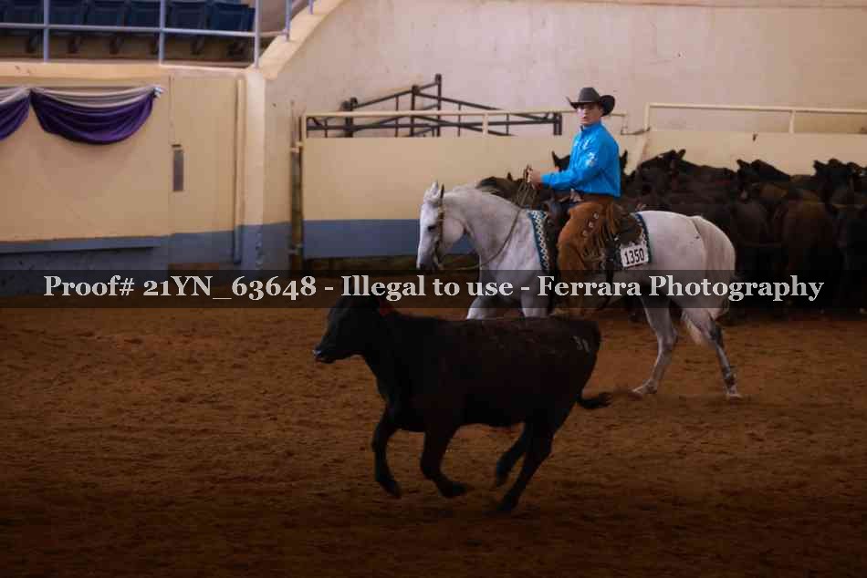 Proof Number 21YN_63648