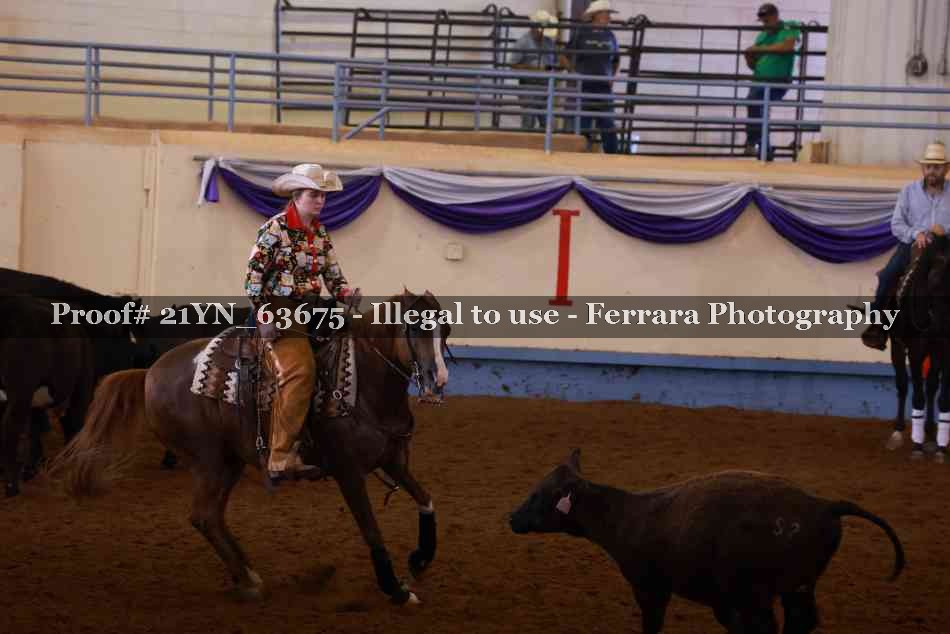 Proof Number 21YN_63675