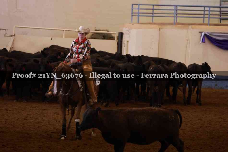 Proof Number 21YN_63676