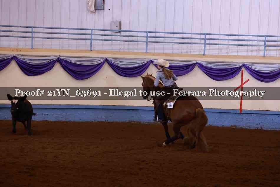 Proof Number 21YN_63691