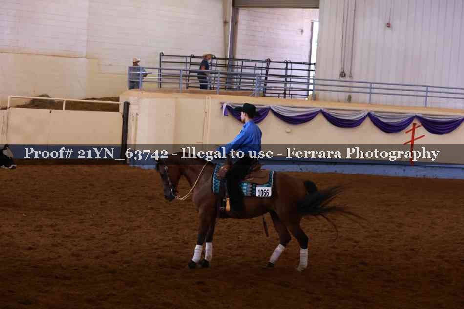 Proof Number 21YN_63742