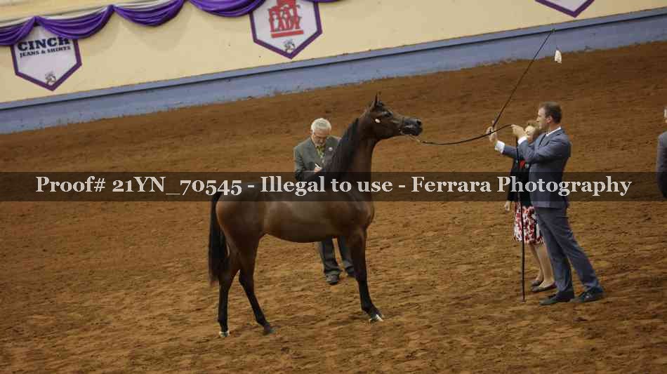 Proof Number 21YN_70545