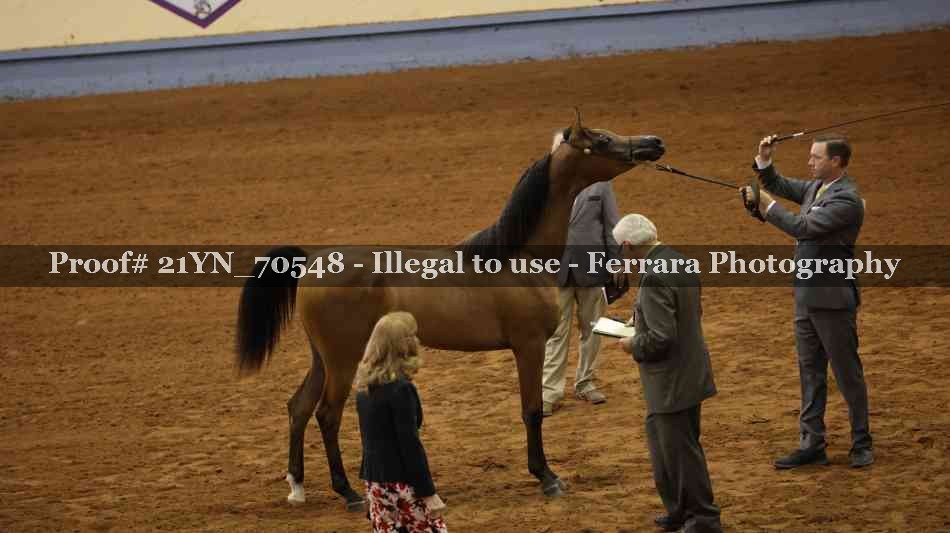 Proof Number 21YN_70548