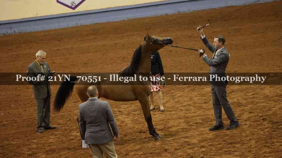 Proof Number 21YN_70551